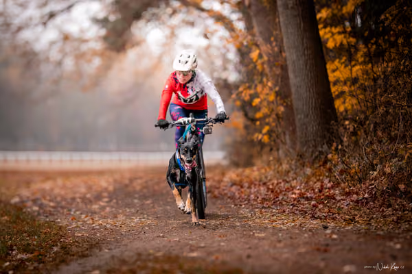 ICF WORLD CHAMPIONSHIP — SUNDAY – SCOOTER