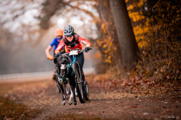ICF WORLD CHAMPIONSHIP — SUNDAY – SCOOTER
