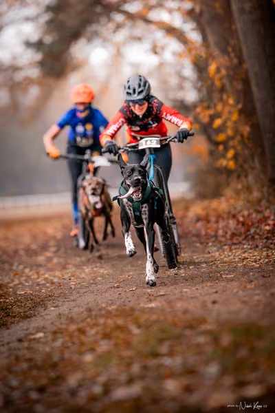 ICF WORLD CHAMPIONSHIP — SUNDAY – SCOOTER