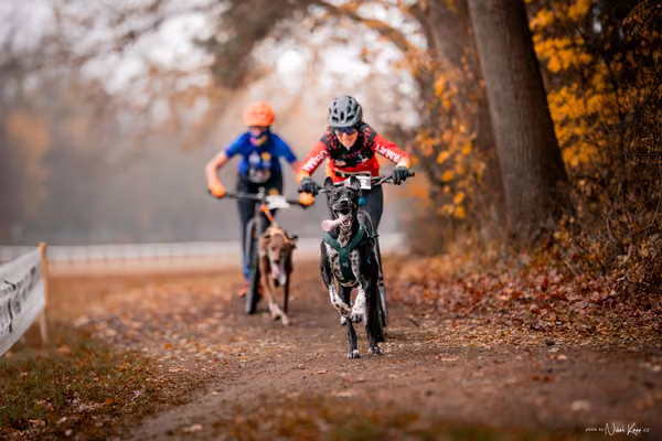 ICF WORLD CHAMPIONSHIP — SUNDAY – SCOOTER