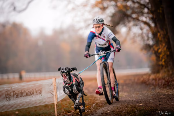 ICF WORLD CHAMPIONSHIP — SUNDAY – SCOOTER