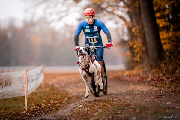 ICF WORLD CHAMPIONSHIP — SUNDAY – SCOOTER