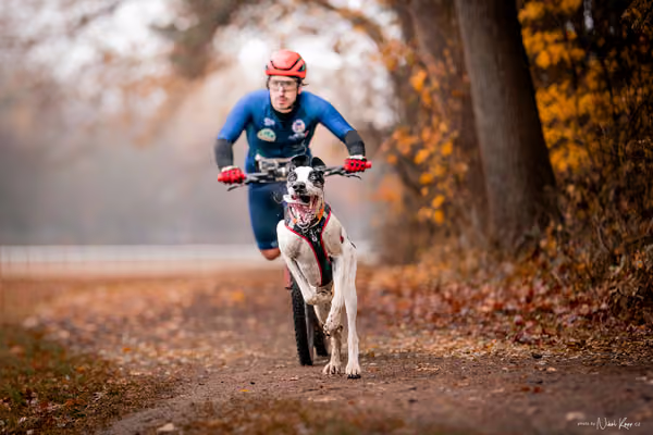 ICF WORLD CHAMPIONSHIP — SUNDAY – SCOOTER