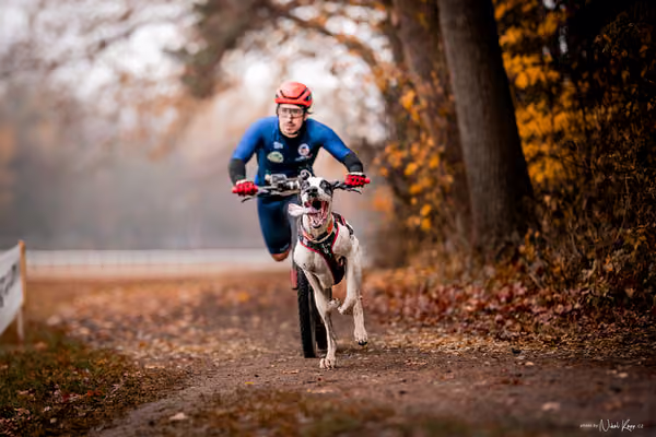 ICF WORLD CHAMPIONSHIP — SUNDAY – SCOOTER