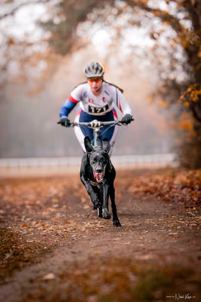 ICF WORLD CHAMPIONSHIP — SUNDAY – SCOOTER