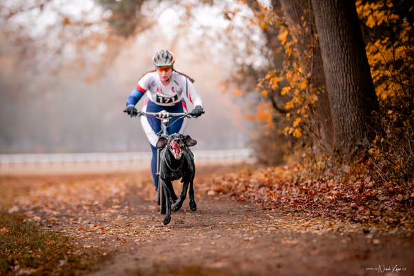 ICF WORLD CHAMPIONSHIP — SUNDAY – SCOOTER