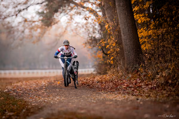 ICF WORLD CHAMPIONSHIP — SUNDAY – SCOOTER