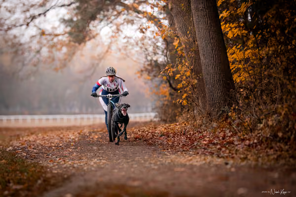 ICF WORLD CHAMPIONSHIP — SUNDAY – SCOOTER