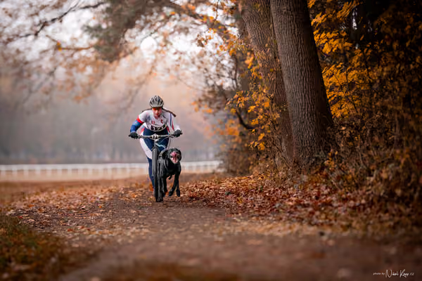 ICF WORLD CHAMPIONSHIP — SUNDAY – SCOOTER