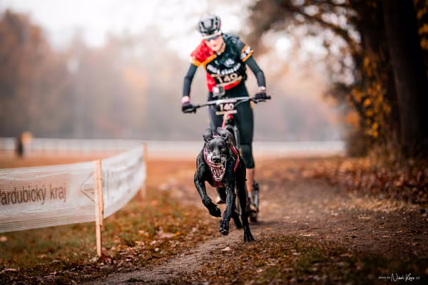 ICF WORLD CHAMPIONSHIP — SUNDAY – SCOOTER