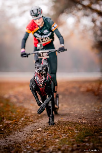 ICF WORLD CHAMPIONSHIP — SUNDAY – SCOOTER