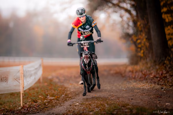 ICF WORLD CHAMPIONSHIP — SUNDAY – SCOOTER