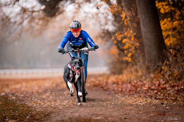 ICF WORLD CHAMPIONSHIP — SUNDAY – SCOOTER