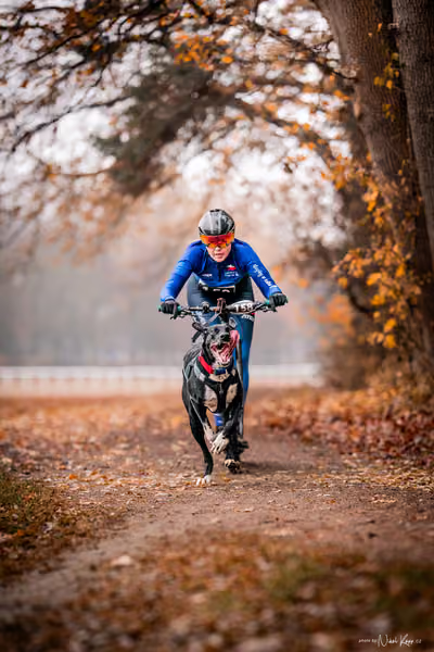 ICF WORLD CHAMPIONSHIP — SUNDAY – SCOOTER