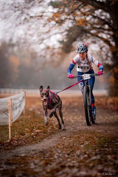 ICF WORLD CHAMPIONSHIP — SUNDAY – SCOOTER