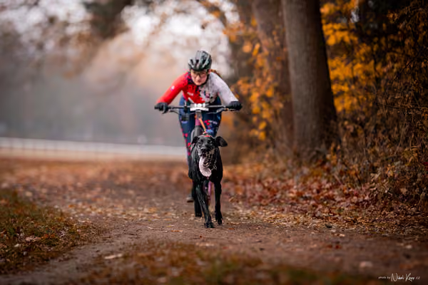 ICF WORLD CHAMPIONSHIP — SUNDAY – SCOOTER