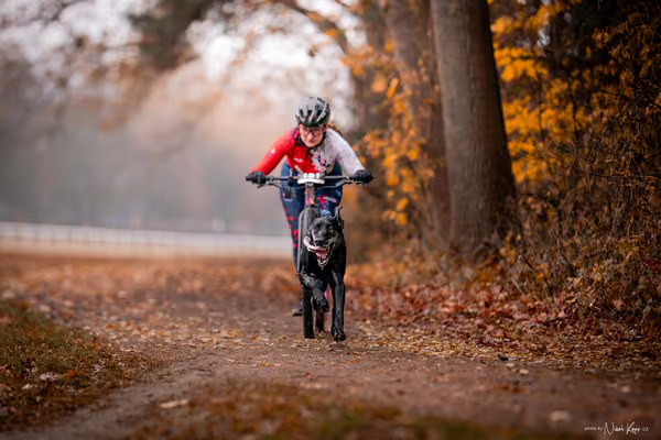 ICF WORLD CHAMPIONSHIP — SUNDAY – SCOOTER