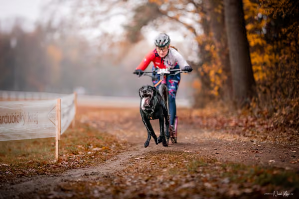 ICF WORLD CHAMPIONSHIP — SUNDAY – SCOOTER
