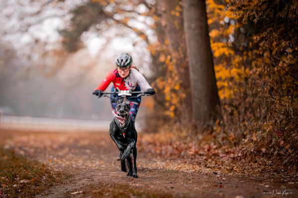 ICF WORLD CHAMPIONSHIP — SUNDAY – SCOOTER