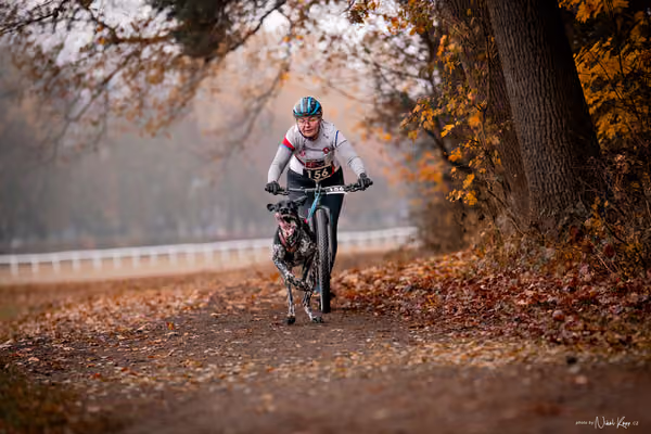 ICF WORLD CHAMPIONSHIP — SUNDAY – SCOOTER