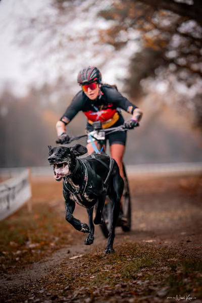 ICF WORLD CHAMPIONSHIP — SUNDAY – SCOOTER