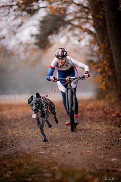 ICF WORLD CHAMPIONSHIP — SUNDAY – SCOOTER