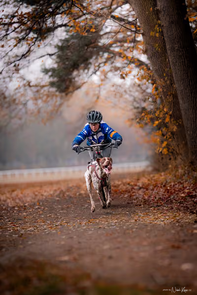 ICF WORLD CHAMPIONSHIP — SUNDAY – SCOOTER