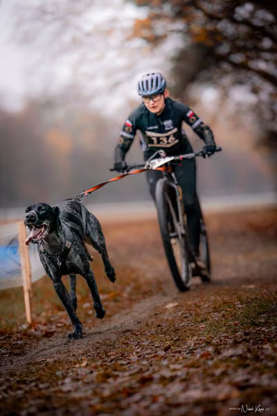 ICF WORLD CHAMPIONSHIP — SUNDAY – SCOOTER