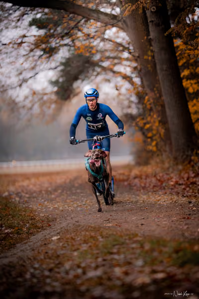 ICF WORLD CHAMPIONSHIP — SUNDAY – SCOOTER