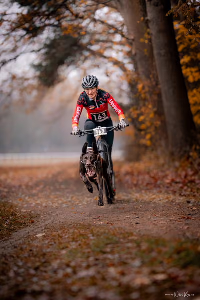 ICF WORLD CHAMPIONSHIP — SUNDAY – SCOOTER