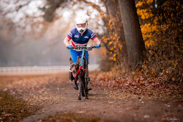 ICF WORLD CHAMPIONSHIP — SUNDAY – SCOOTER