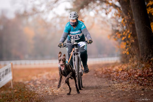 ICF WORLD CHAMPIONSHIP — SUNDAY – BIKE