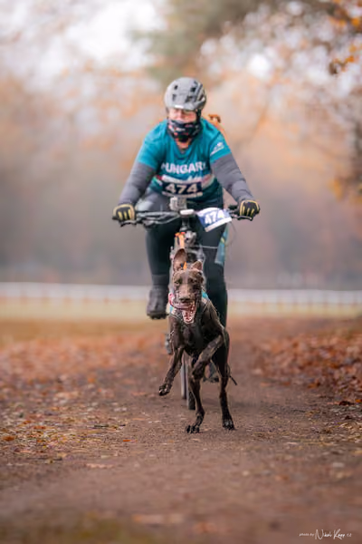 ICF WORLD CHAMPIONSHIP — SUNDAY – BIKE