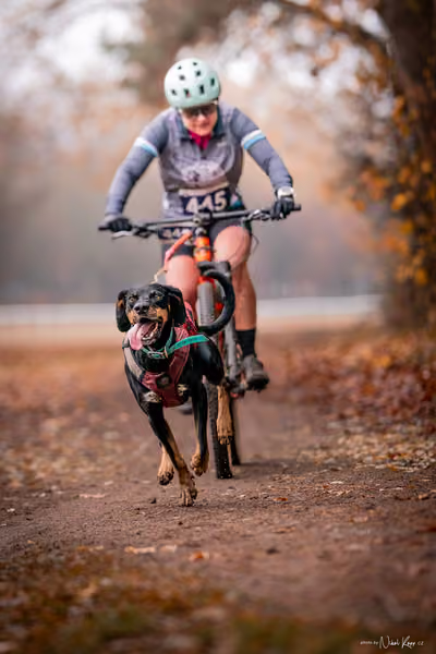 ICF WORLD CHAMPIONSHIP — SUNDAY – BIKE