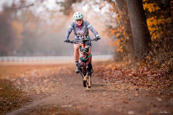 ICF WORLD CHAMPIONSHIP — SUNDAY – BIKE
