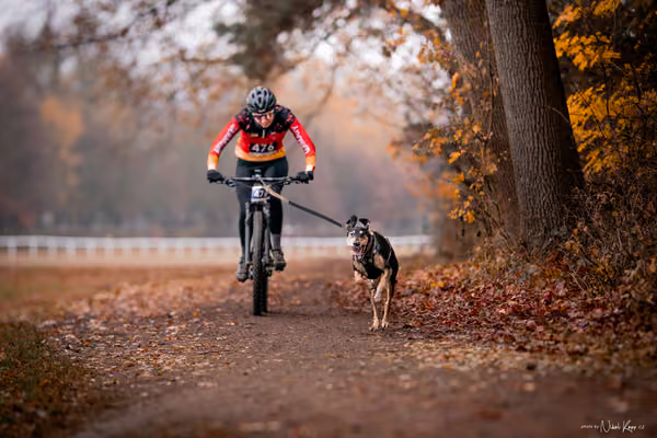 ICF WORLD CHAMPIONSHIP — SUNDAY – BIKE