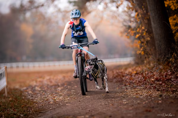 ICF WORLD CHAMPIONSHIP — SUNDAY – BIKE
