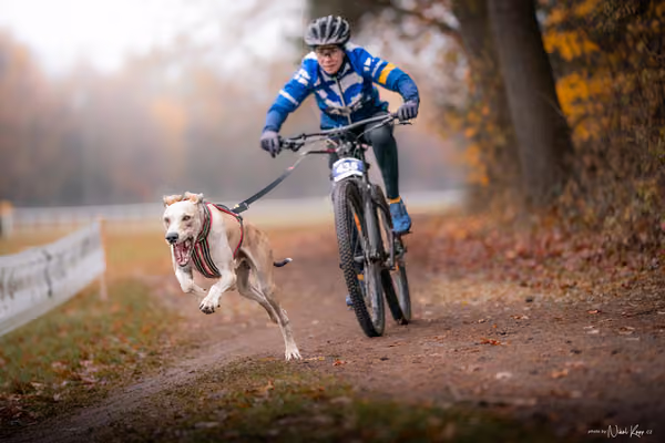 ICF WORLD CHAMPIONSHIP — SUNDAY – BIKE