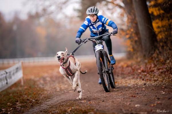 ICF WORLD CHAMPIONSHIP — SUNDAY – BIKE