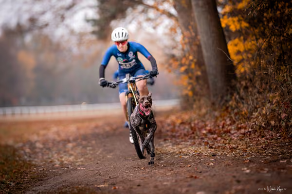 ICF WORLD CHAMPIONSHIP — SUNDAY – BIKE