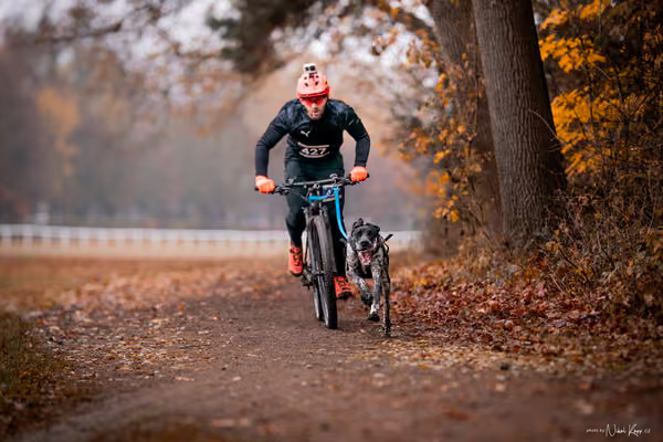 ICF WORLD CHAMPIONSHIP — SUNDAY – BIKE