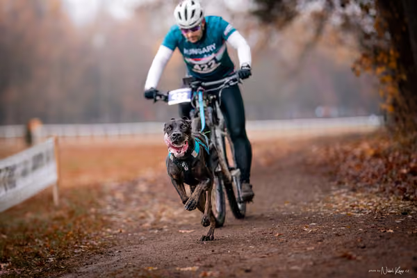 ICF WORLD CHAMPIONSHIP — SUNDAY – BIKE