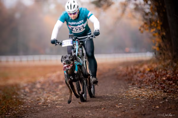 ICF WORLD CHAMPIONSHIP — SUNDAY – BIKE