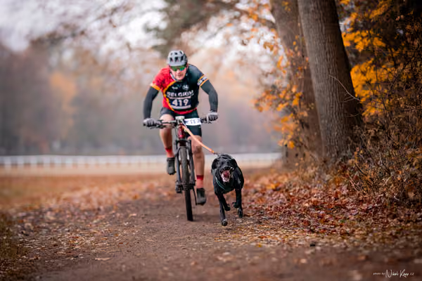 ICF WORLD CHAMPIONSHIP — SUNDAY – BIKE