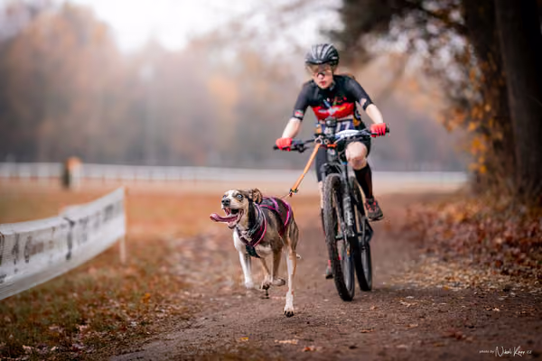 ICF WORLD CHAMPIONSHIP — SUNDAY – BIKE