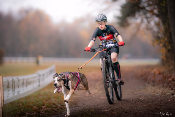 ICF WORLD CHAMPIONSHIP — SUNDAY – BIKE