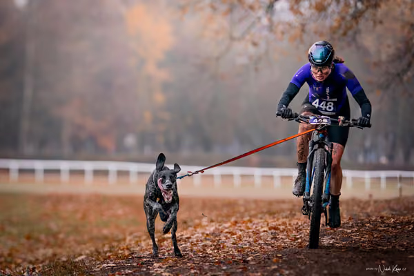 ICF WORLD CHAMPIONSHIP — SUNDAY – BIKE