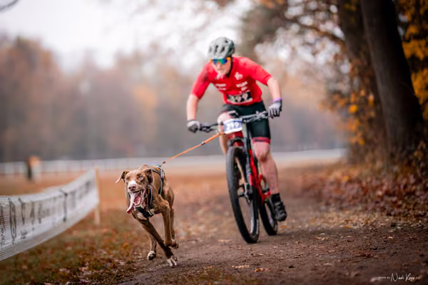 ICF WORLD CHAMPIONSHIP — SUNDAY – BIKE