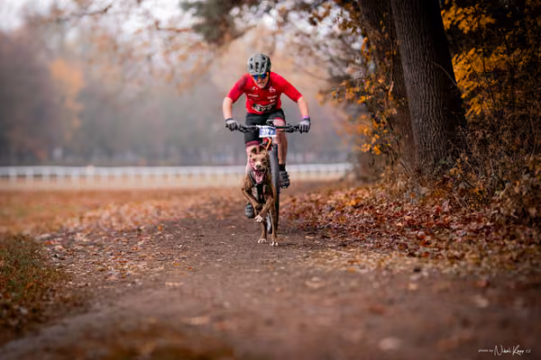 ICF WORLD CHAMPIONSHIP — SUNDAY – BIKE