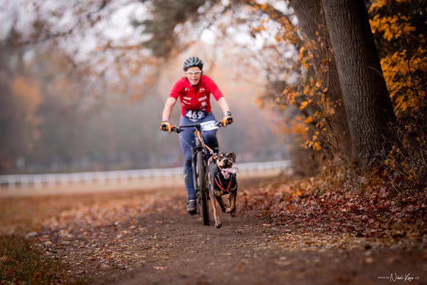 ICF WORLD CHAMPIONSHIP — SUNDAY – BIKE